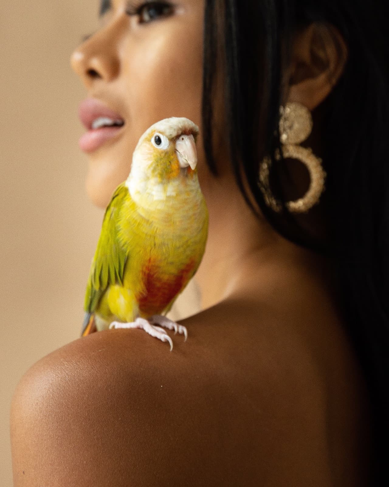 Kiki, a Conure available for adoption in Toronto, ON